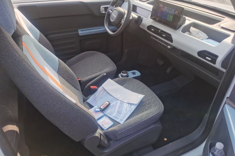 Used  Panda 2023 Panda Mini 200km Endurance Bear
