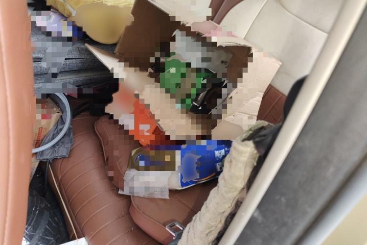 Used  Panda 2024 200km Panda Rider