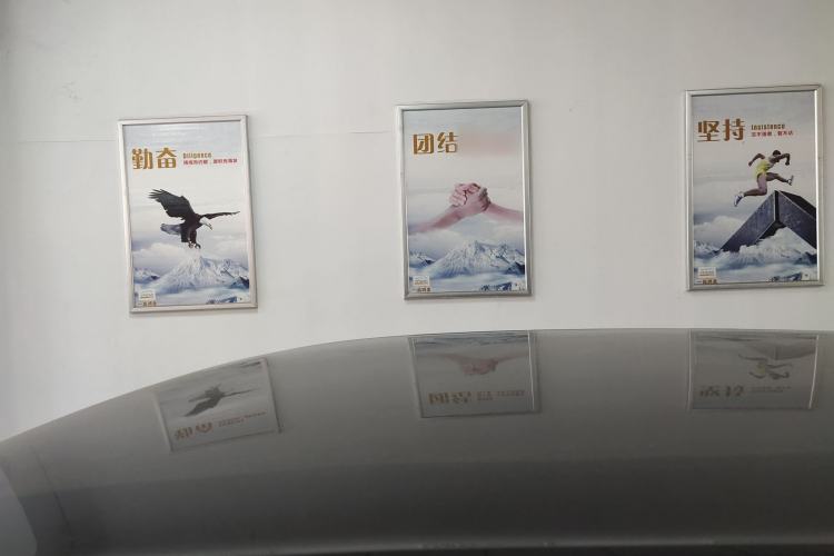 Used ORA Good Cat 2022 Morandi Edition 400km Standard Range Luxury Version Lithium Iron Phosphate