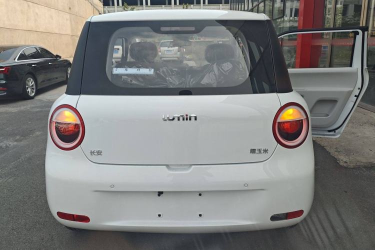 Used  Lumin 2025 205 km Xiangqin Version
