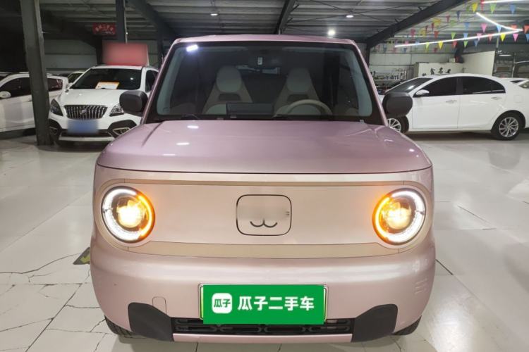 Used  Panda 2023 Panda Mini 200km Endurance Bear