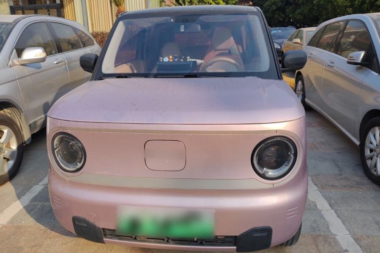 Used  Panda 2023 Panda Mini 200km Dynamic Bear