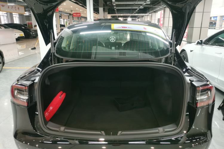 Used Tesla Model 3 2020 Revised Version Standard Range Rear-Wheel Drive – Upgraded Edition
