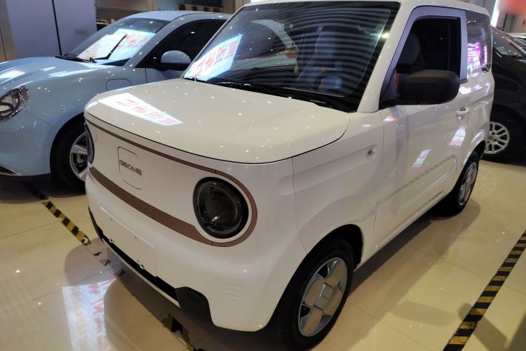 Used  Panda 2024 Panda Mini 200km Endurance Bear
