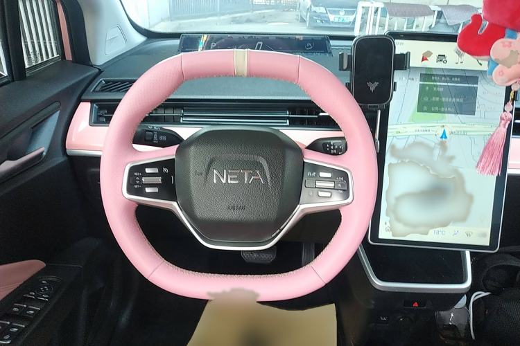 Used NETA V 2021 Witch Edition
