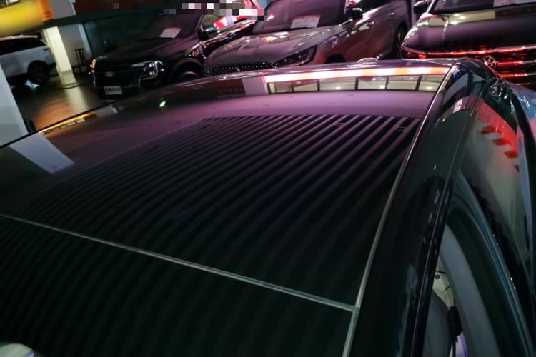 Used  06 2025 Pro Range-Extended Edition
