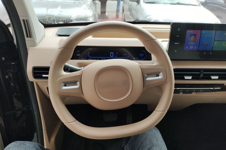 Used  Panda 2024 200km Panda Kart
