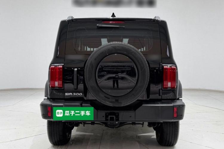 Used Tank 300 2024 2.0T Conqueror