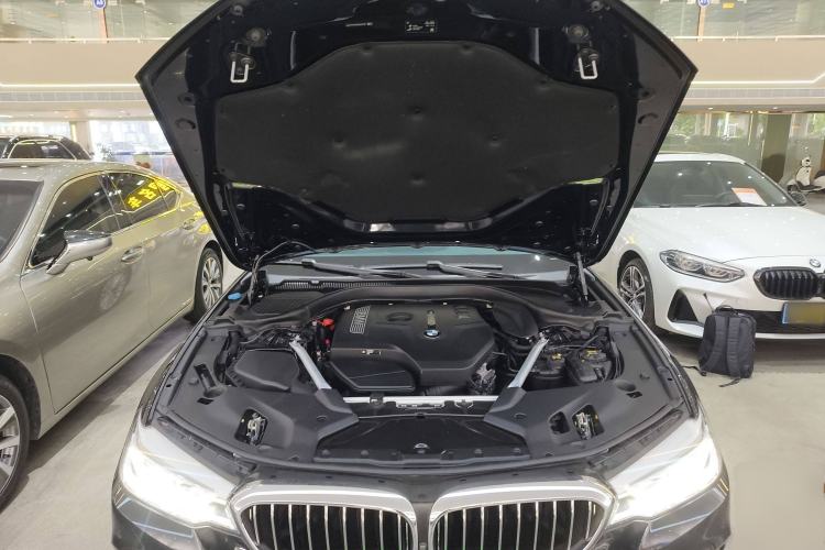 Used BMW 5 Series 2020 530Li Leading Edition Luxury Package