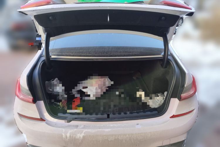 TDK.VehicleDetails.img