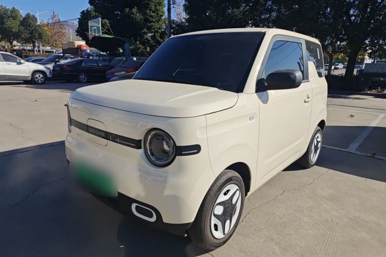 Used  Panda 2025 210 km – Yuanqi Bear