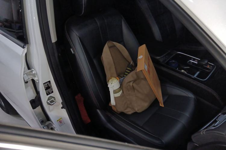 Used GAC Trumpchi GS8 2020 390T Two-Wheel Drive Luxury Smart Connectivity Commemorative Edition (7 Seats)
