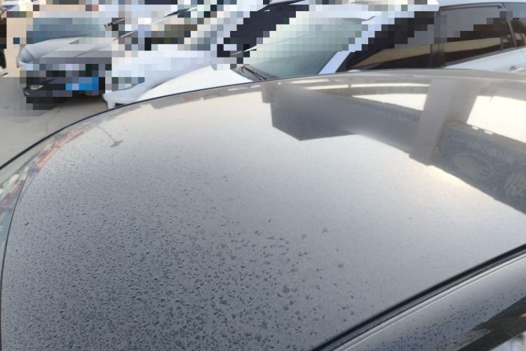 Used  Geome 2025 310km Dream Edition
