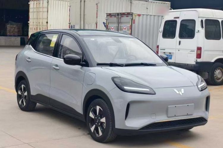 Used Wuling Bingo PLUS 2024 330 km Range Five-Seater Version