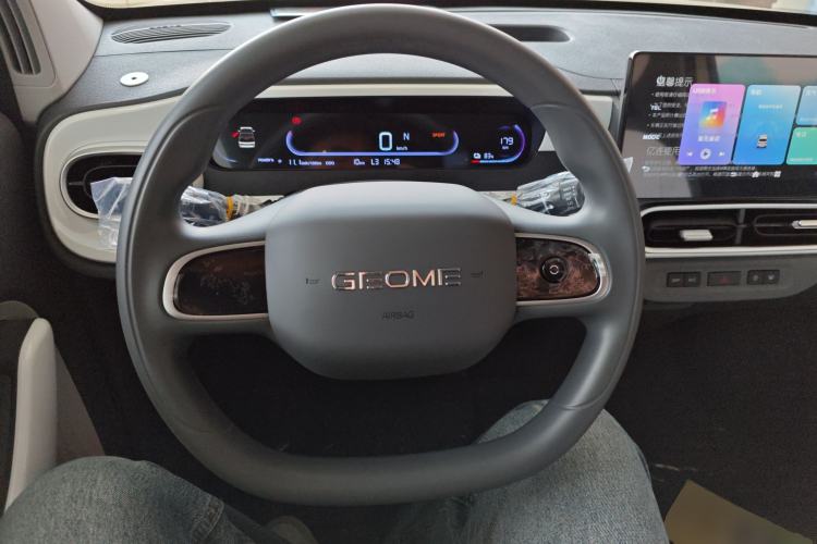 Used  Panda 2025 210 km – Yuanqi Bear
