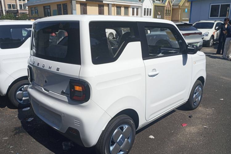 Used  Panda 2024 Panda Mini 200km Endurance Bear
