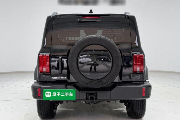 Used Tank 300 2024 2.0T Conqueror
