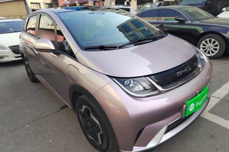 Used BYD Dolphin 2021 405 km Free Version
