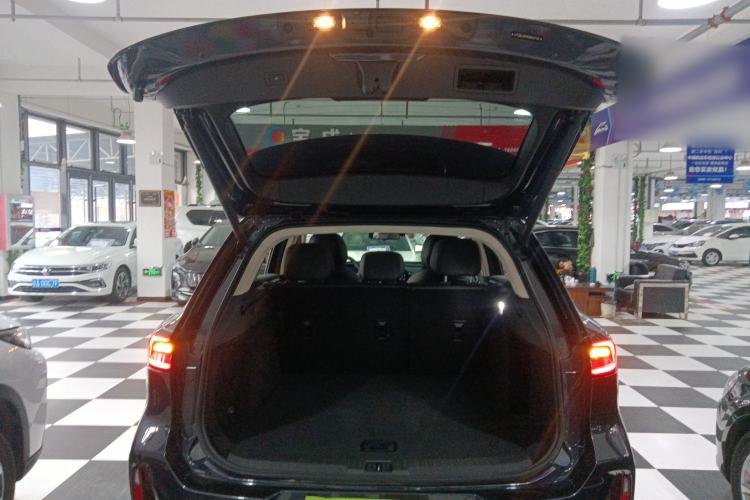 Used  Lingyun 2024 300T Two-Wheel Drive Starlight Edition
