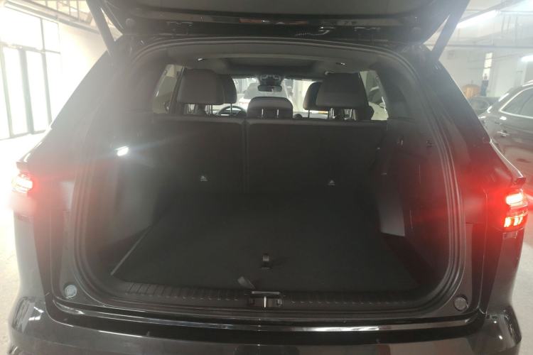 Used Geely Auto Monjaro L 2024 2.0TD High-Power Automatic Two-Wheel Drive Skyline Edition
