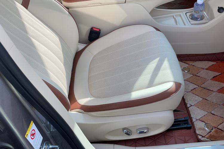 Used ORA Ballet Cat 2023 401 km Luxury Version
