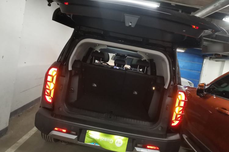 Used  BJ30 2024 1.5T Light Wilderness Pro Edition
