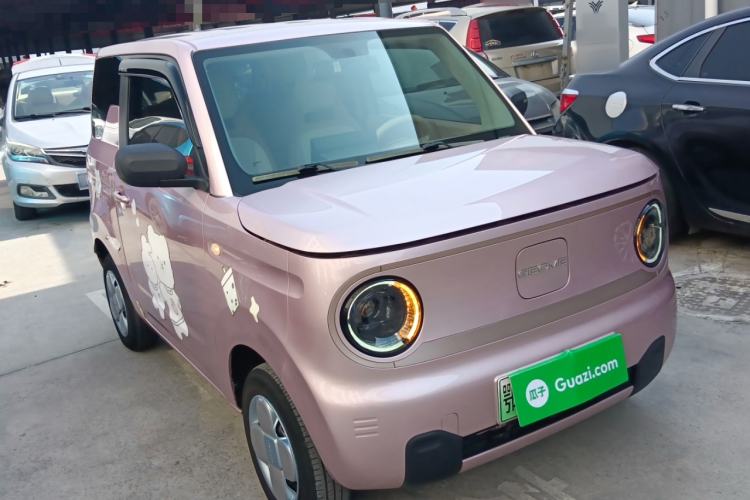 Used  Panda 2023 Panda Mini 200km Endurance Bear
