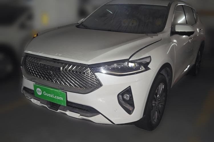 Used Haval F7 2021 2.0T Two-Wheel Drive i-Van
