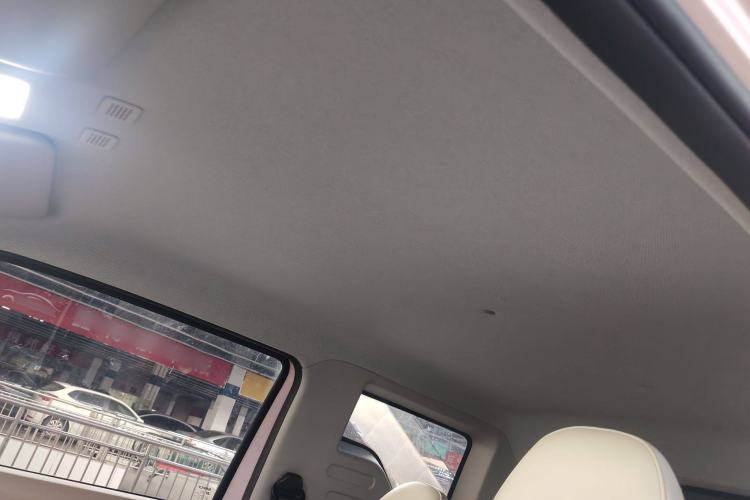 Used  Panda 2023 Panda Mini 200km Endurance Bear
