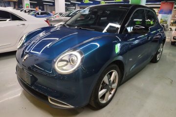 Used ORA Good Cat 2021 500km Long-Range Poseidon Edition Lithium-Ion Battery