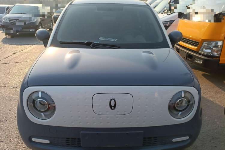 Used ORA Black Cat 2022 301km Base Version Ternary Lithium
