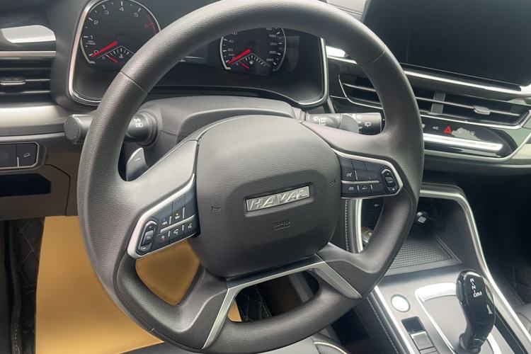 Used Haval H6 2021 National Trend Edition 1.5T Automatic Urban Version
