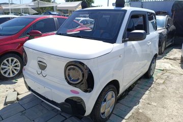 Used Geely Galaxy Panda 2023 Panda Mini 200km Endurance Bear