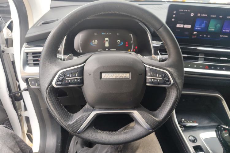 Used Haval H6 2021 National Trend Edition 1.5T Automatic Champion Version
