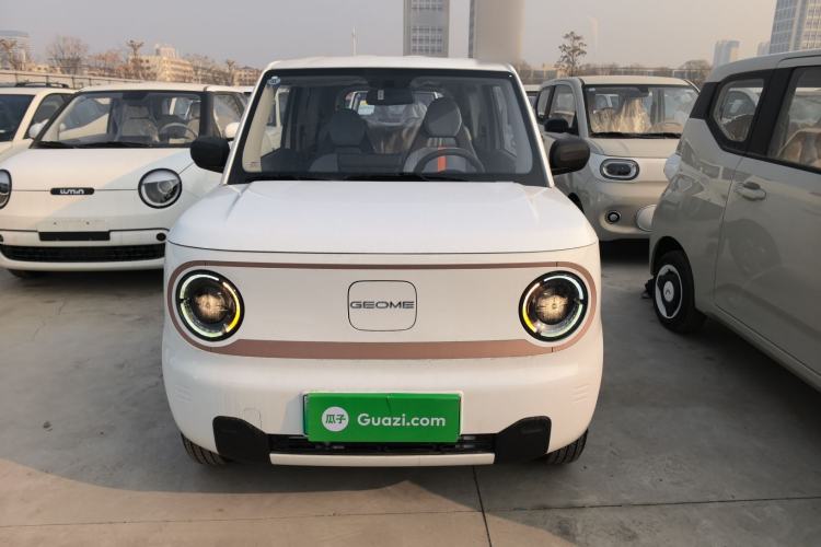 Used  Panda 2024 Panda Mini 200km Endurance Bear
