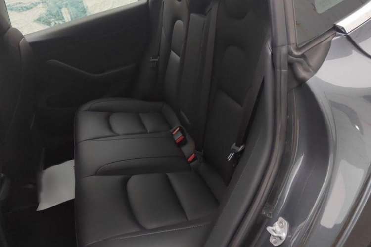 Used Tesla Model 3 2020 Revised Version Standard Range Rear-Wheel Drive – Upgraded Edition
