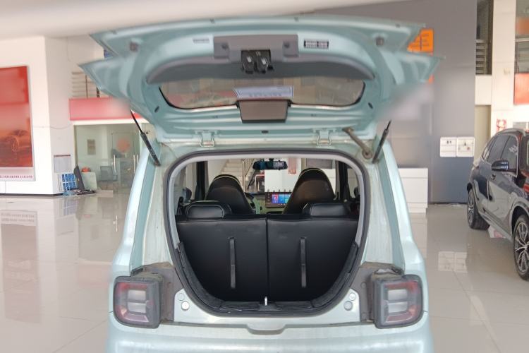 Used  Panda 2023 Panda Mini 200km Endurance Bear
