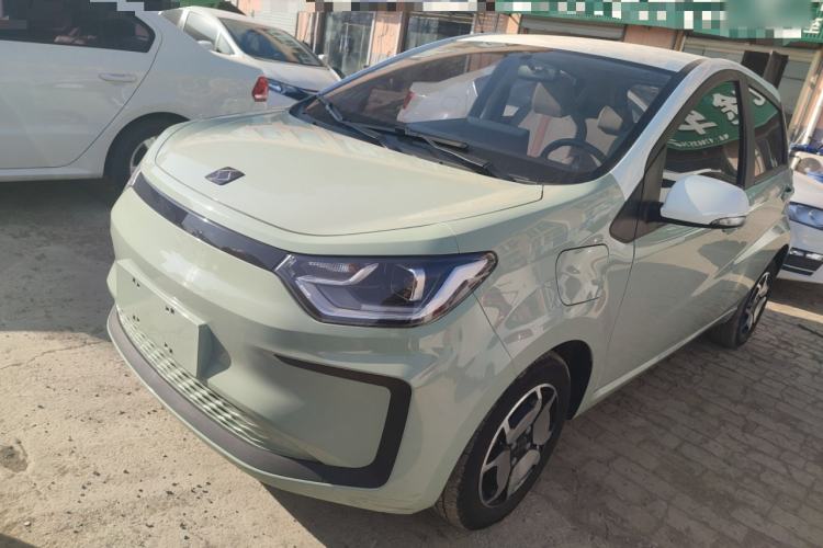 Used SOL E10X 2022 Flower Fairy Style Baby's Breath
