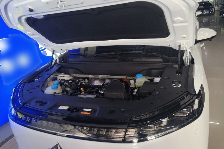 Used  eπ008 2024 210Max Range-Extended Version 6 Seats