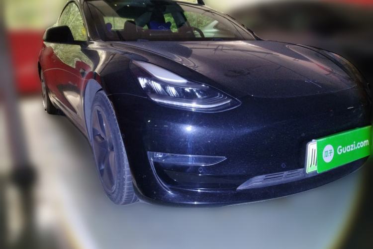 Used Tesla Model 3 (Import) 2019 Long-Range Rear-Wheel-Drive Version
