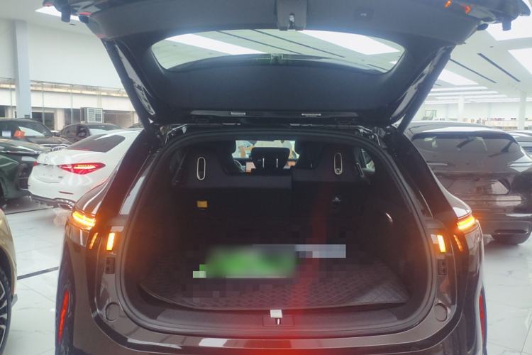 Used  07 2024 Max Extended-Range Edition
