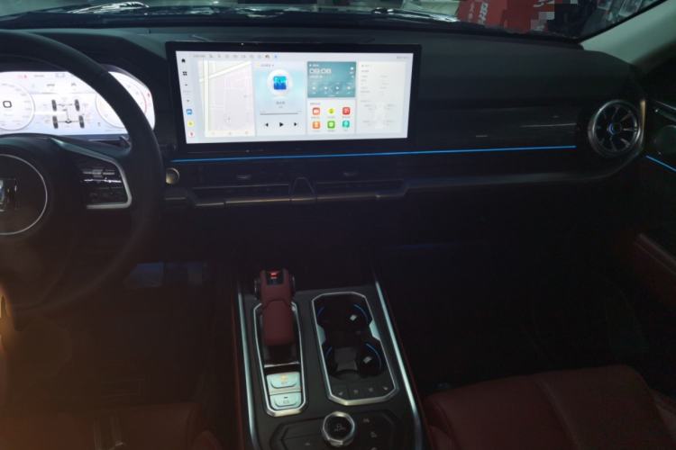 Used Tank 400 2025 2.0T Gasoline Version