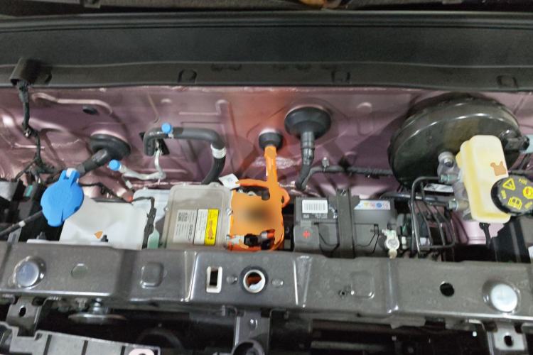 Used  Panda 2025 210 km – Yuanqi Bear
