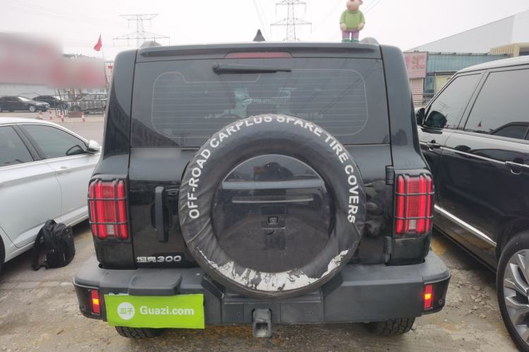 Used Tank 300 2024 2.0T Conqueror
