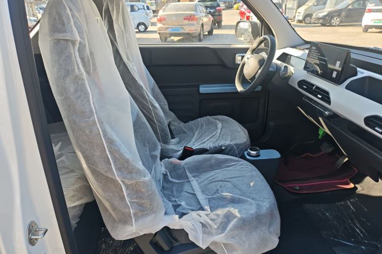 Used  Panda 2024 Panda Mini 200km Endurance Bear
