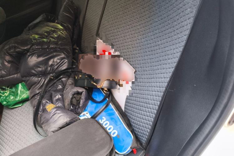 Used GAC Trumpchi GS5 2019 270T Automatic Luxury Edition
