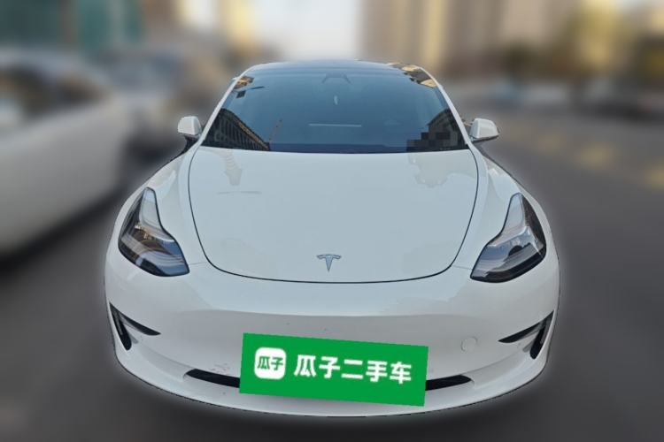 Used Tesla Model 3 (Import) 2019 Long-Range Rear-Wheel-Drive Version