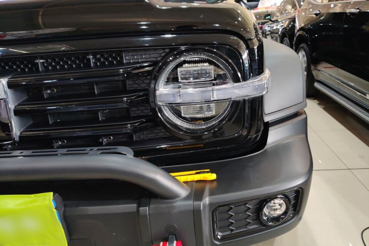 Used Tank 300 2024 2.0T Conqueror