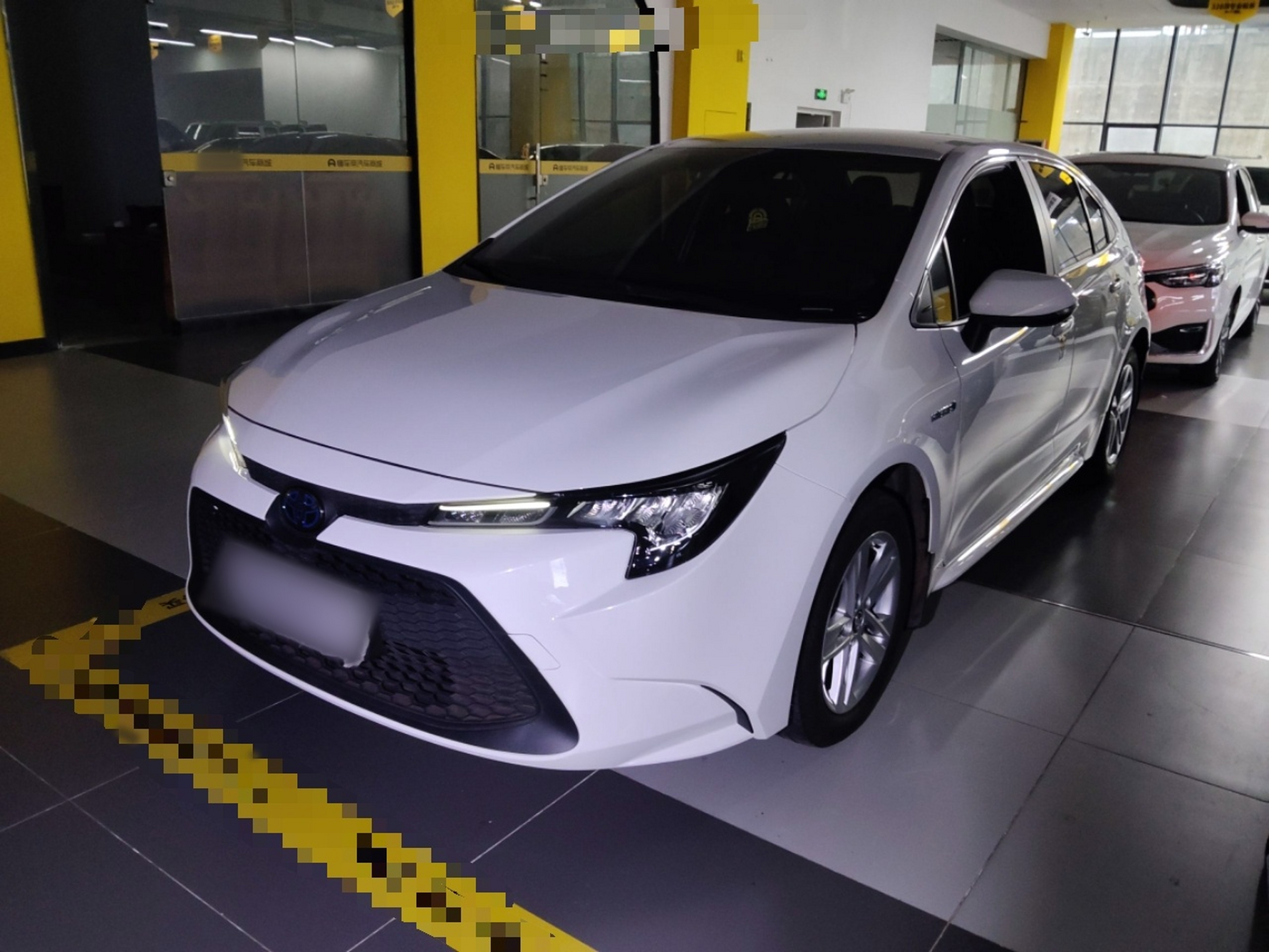 تحت مقدمة السيارة