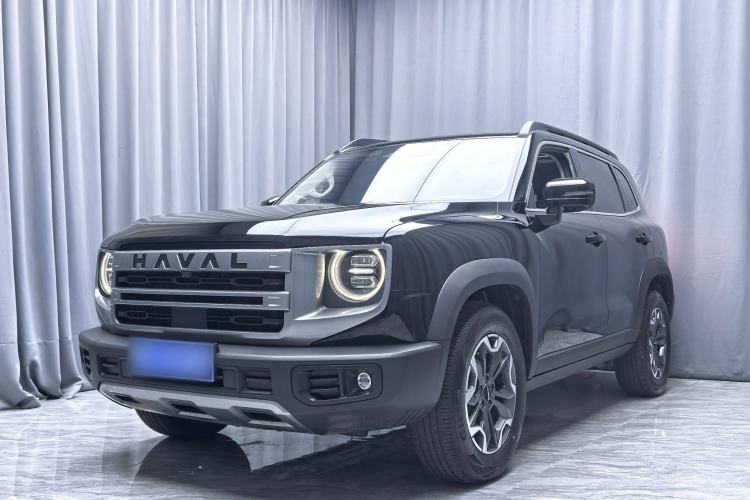 Used Haval DARGO 2024 2.0T DCT Chinese Rural Dog Edition
